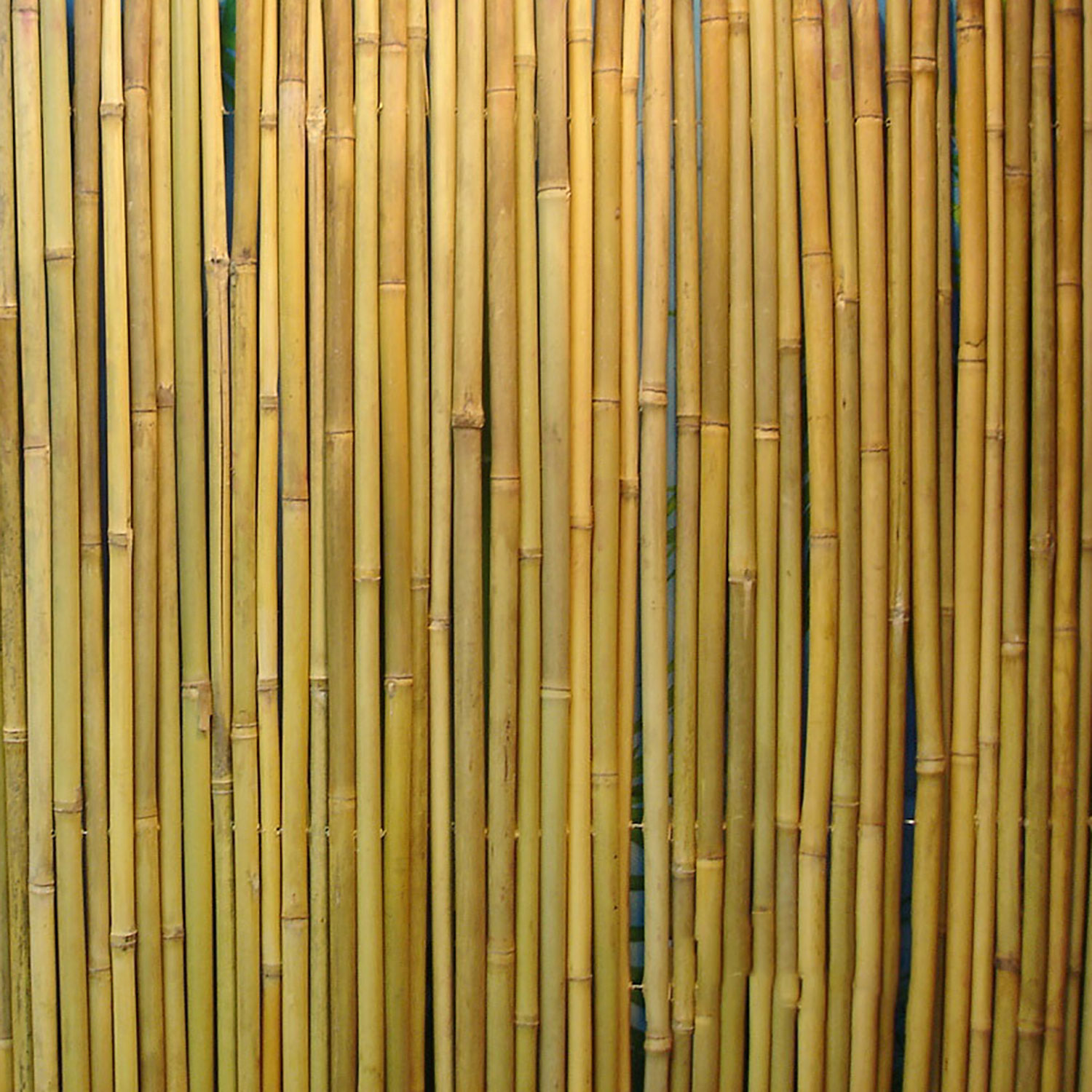 Bambukinė tvora pinta, su viela viduje, 1,5 x 3 m 2