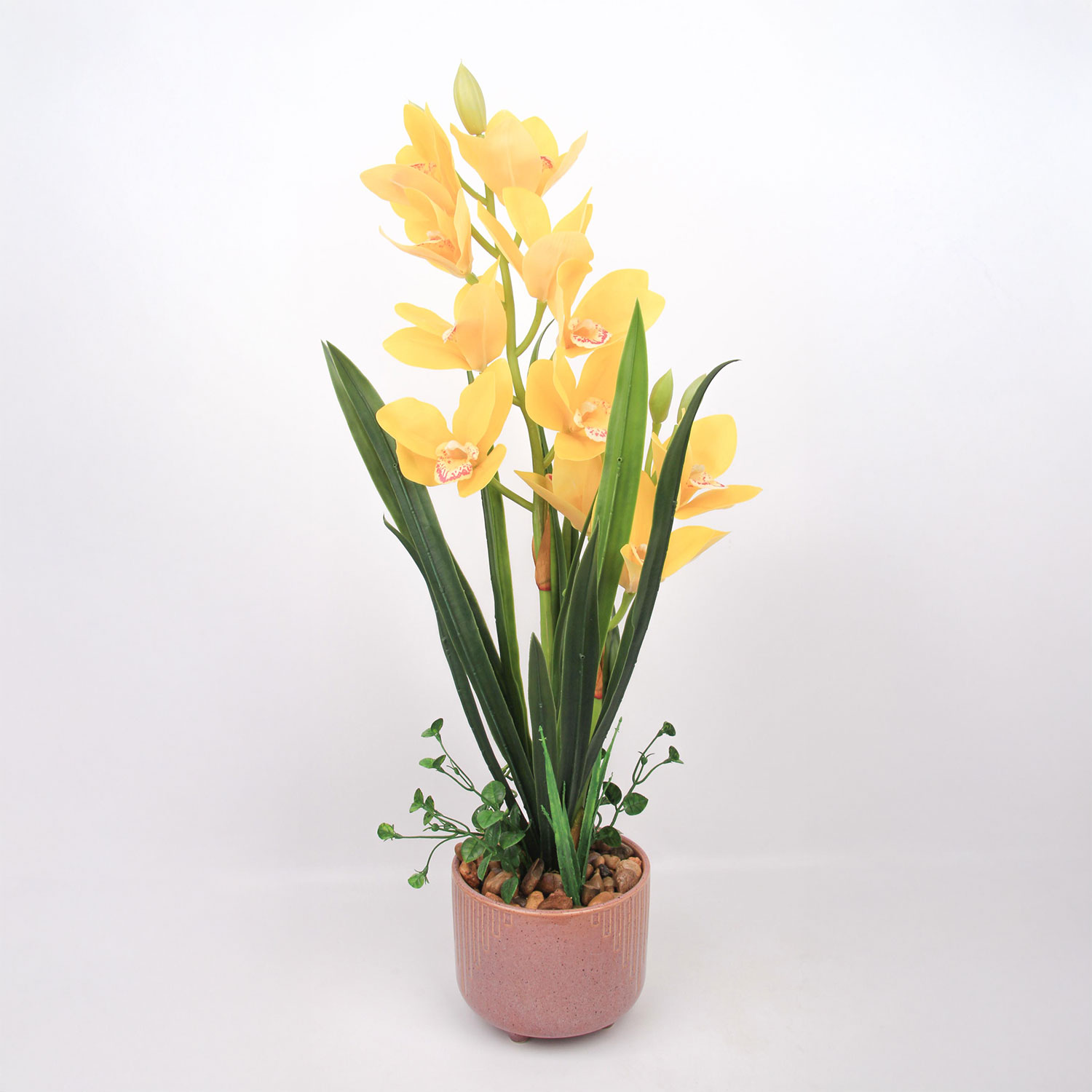 Orhideja GARDEN QUEEN, dzeltena, 70 cm
