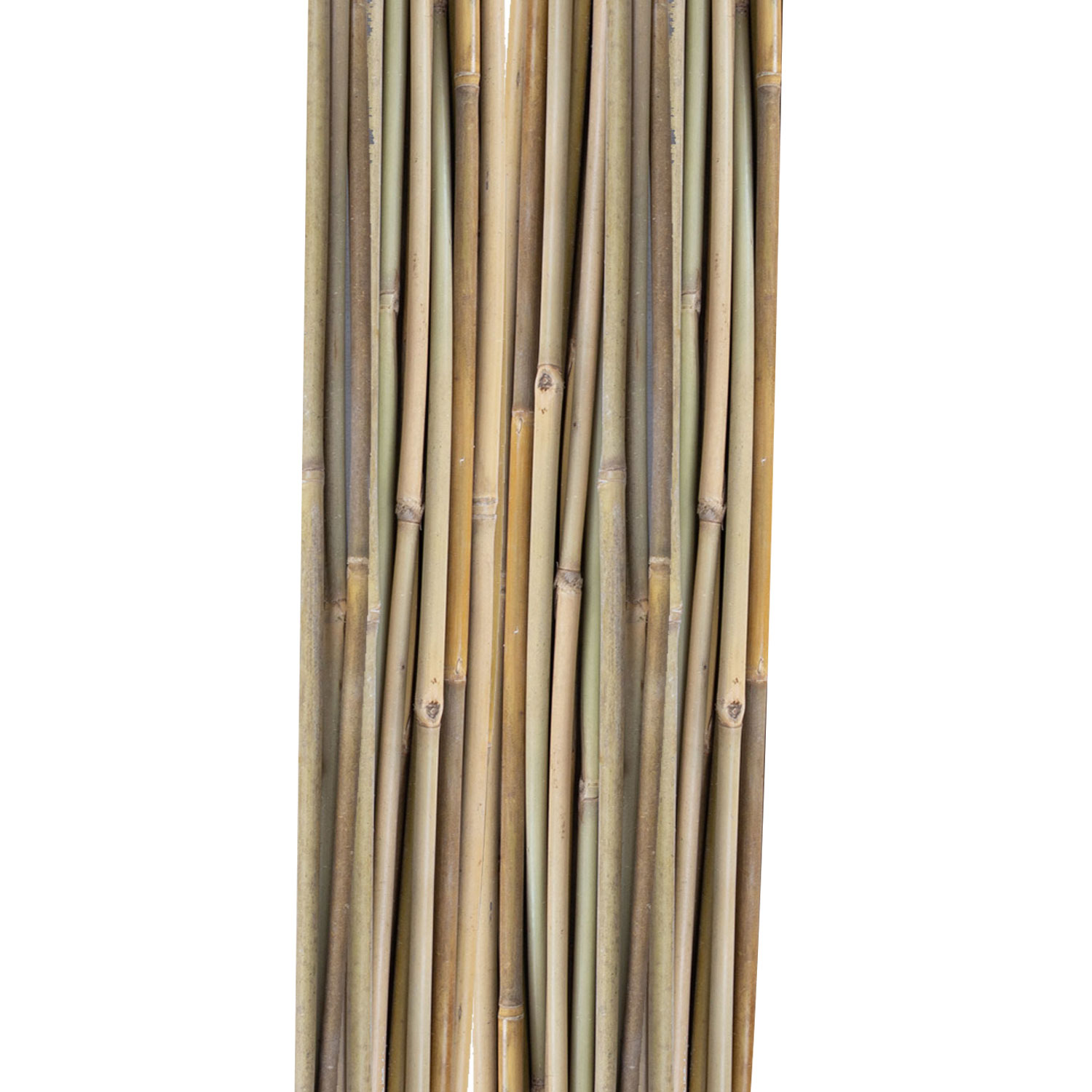Bambukinės augalų atramos, 120 cm, 20 vnt.