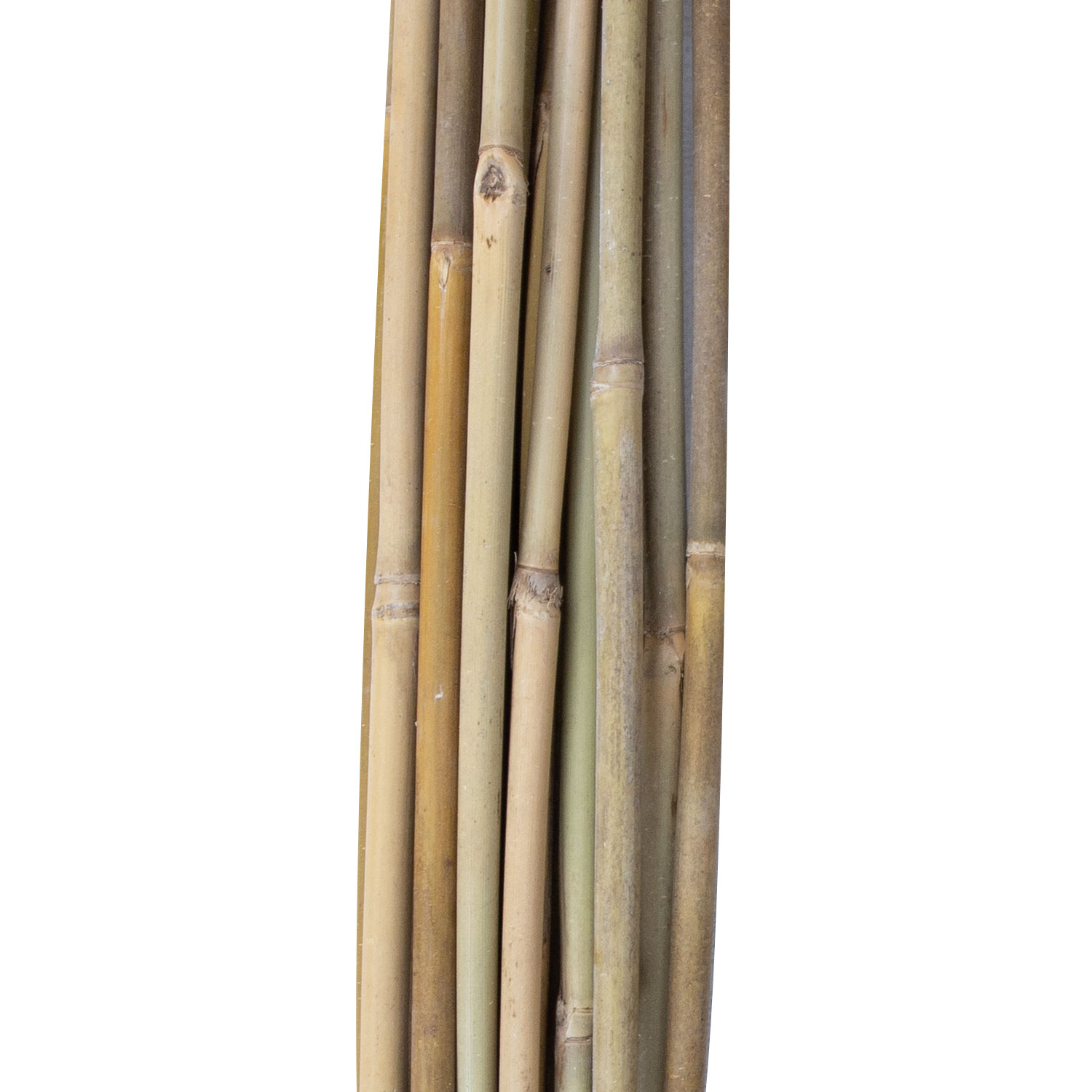 Bambukinės augalų atramos, 120 cm, 20 vnt. 2