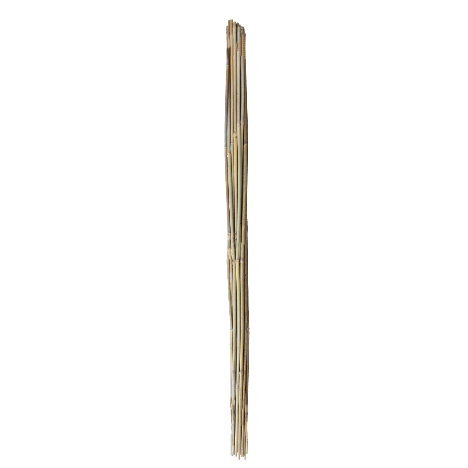 Bambukinės augalų atramos, 120 cm, 20 vnt.