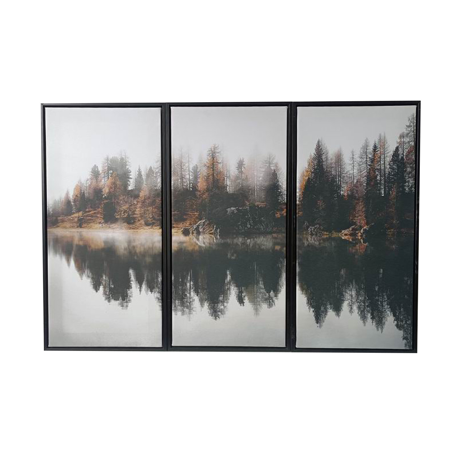 Sieninis paveikslas ant drobės, 30 × 60 × 2,5 cm