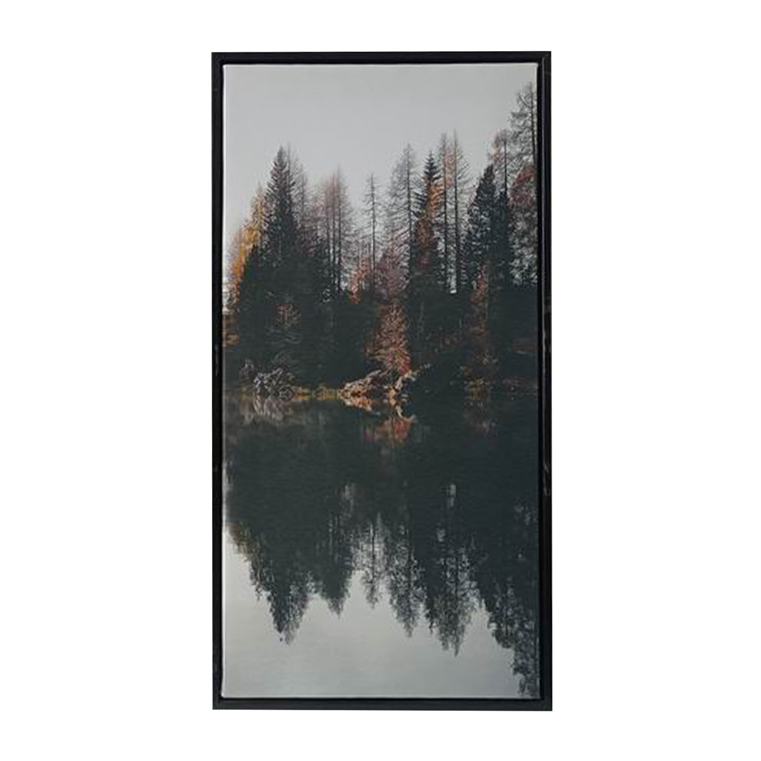 Sieninis paveikslas ant drobės, 30 × 60 × 2,5 cm