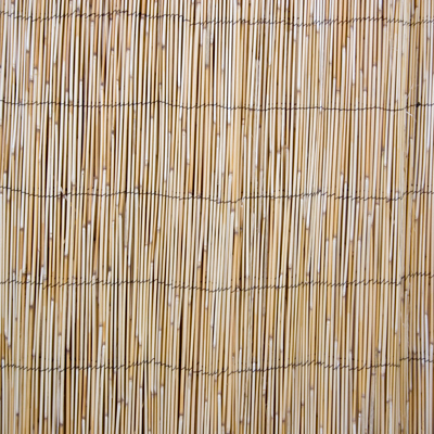 Nendrių tvora, 1,5 × 5 m