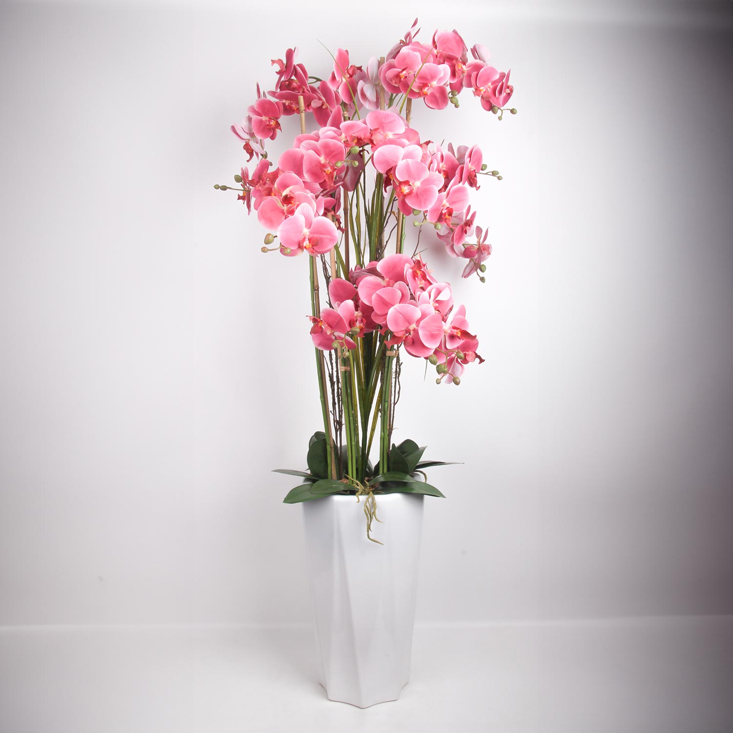 Orhideja „Garden Queen“, rozā, 132 cm