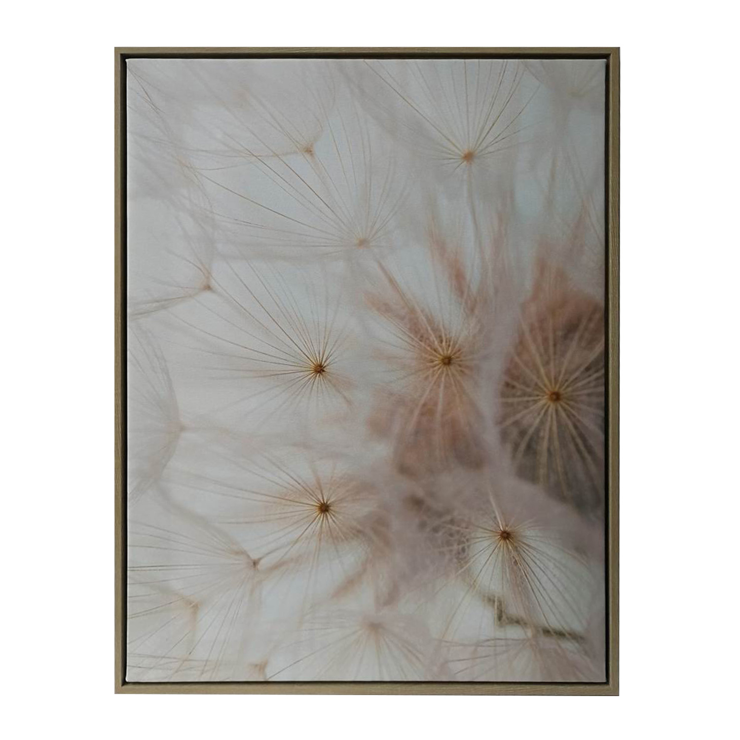 Sieninis paveikslas su kiaulpienės motyvu, 45 × 60 cm