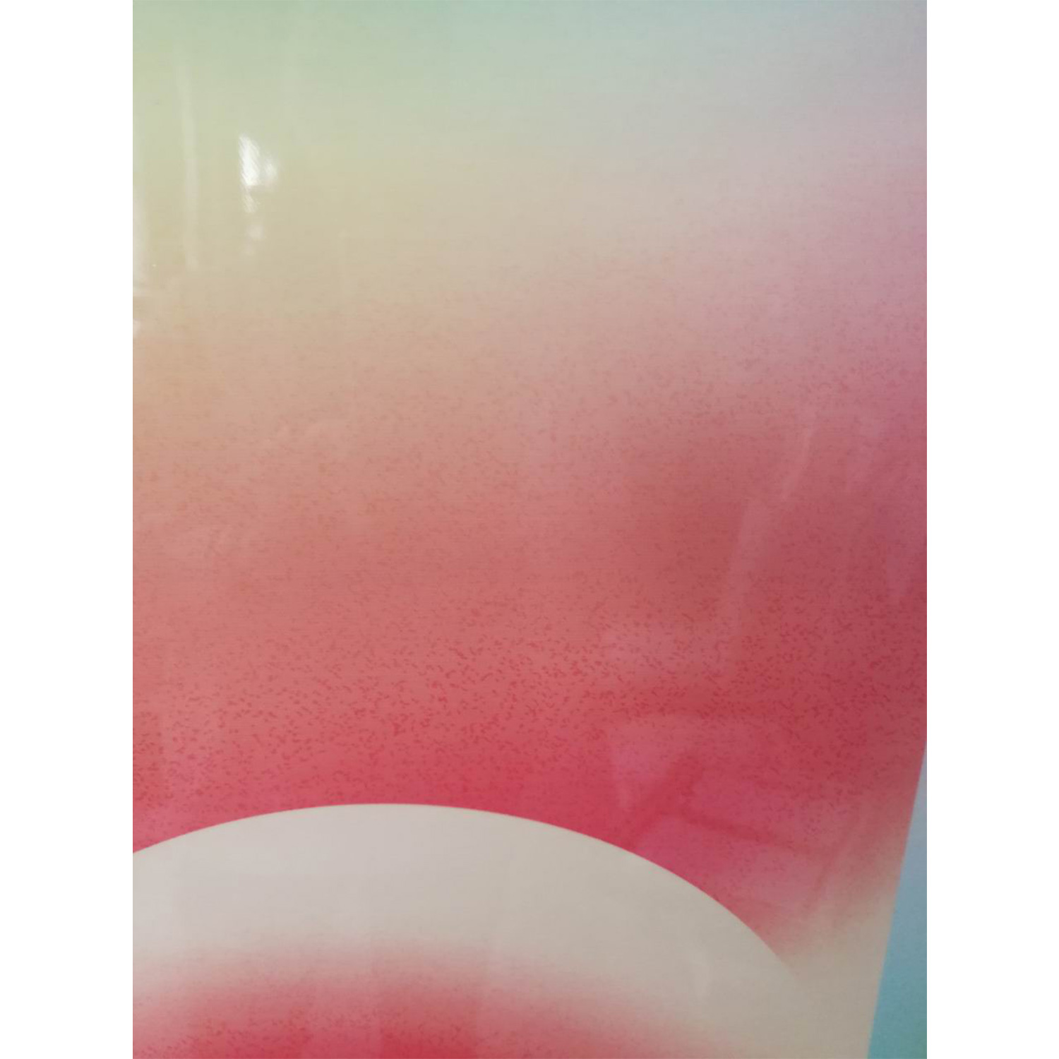 Akrilinis sieninis paveikslas „Koidukuma“, 50 × 70 cm