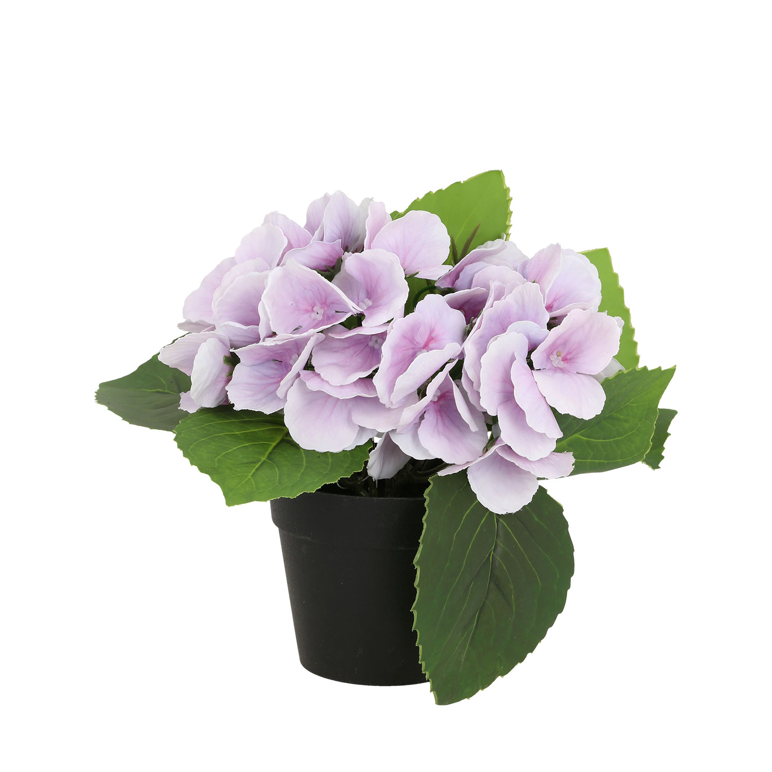 Dirbtinė hortenzija vazone, violetinė, 18 cm