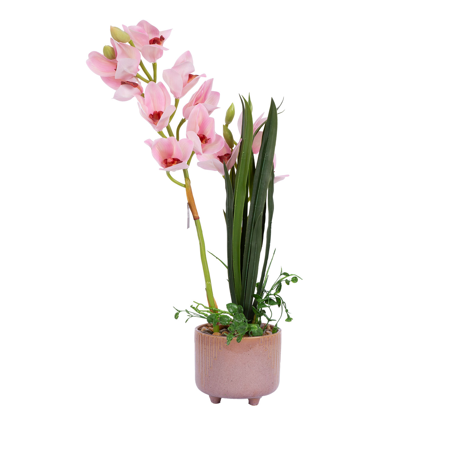 Orhideja „Garden Queen“, gaiši rozā, 70 cm
