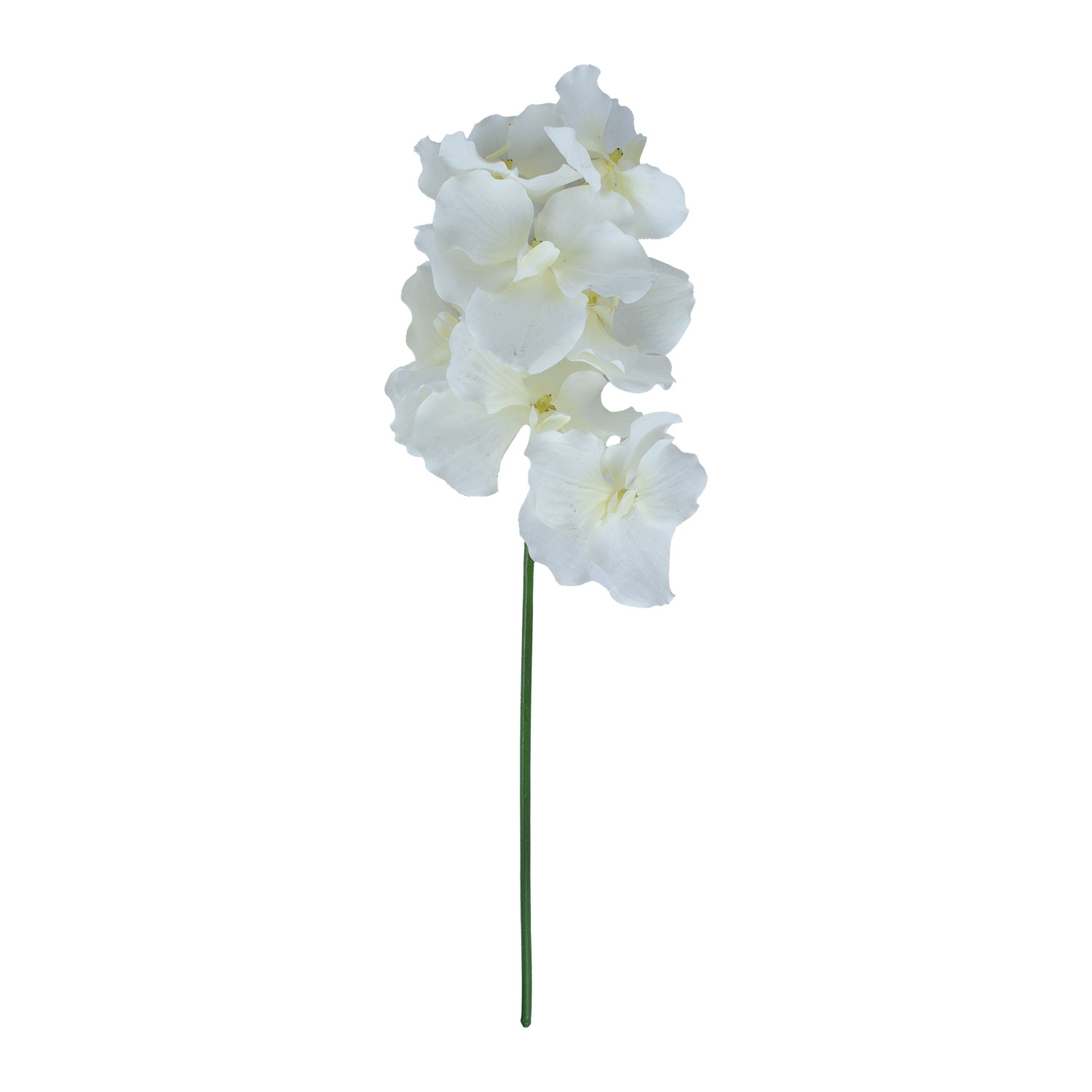 Orchidėja , 60 cm 2