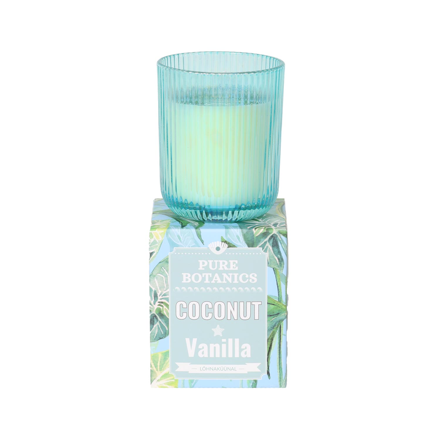 Kvapioji žvakė „PURE BOTANICS Coconut Vanilla“, šviesiai mėlyna, Ø 7,5 × 9,5 cm 2