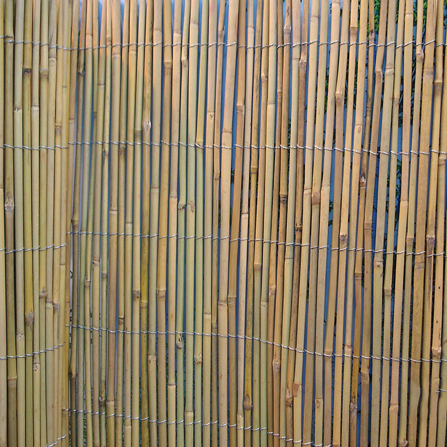 Bambukinė tvora, 8–10 mm, 2 × 5 m 2