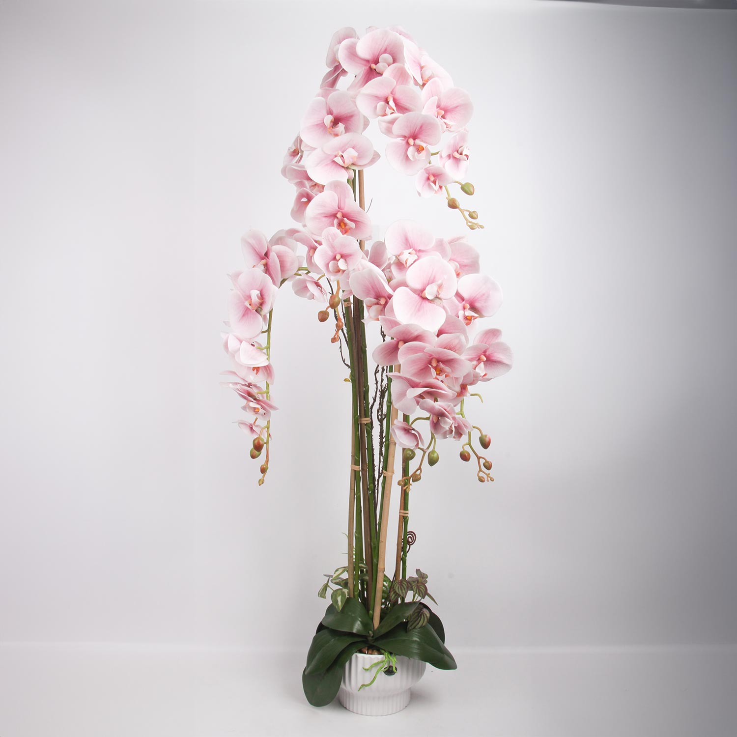 Orhideja „Garden Queen“, gaiši rozā, 124 cm