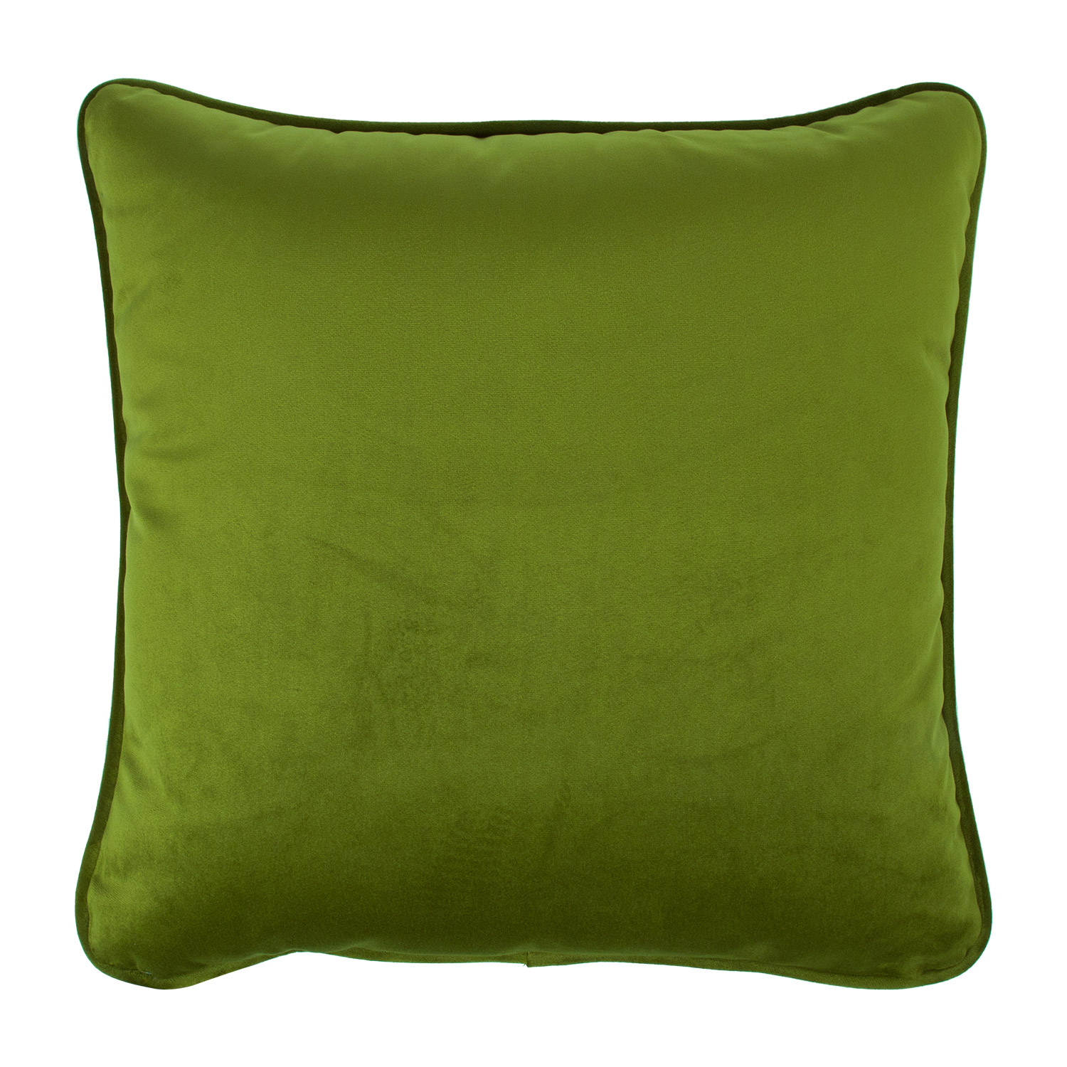 Dekoratyvinė pagalvėlė su užtrauktuku, žalia 45 × 45 cm
