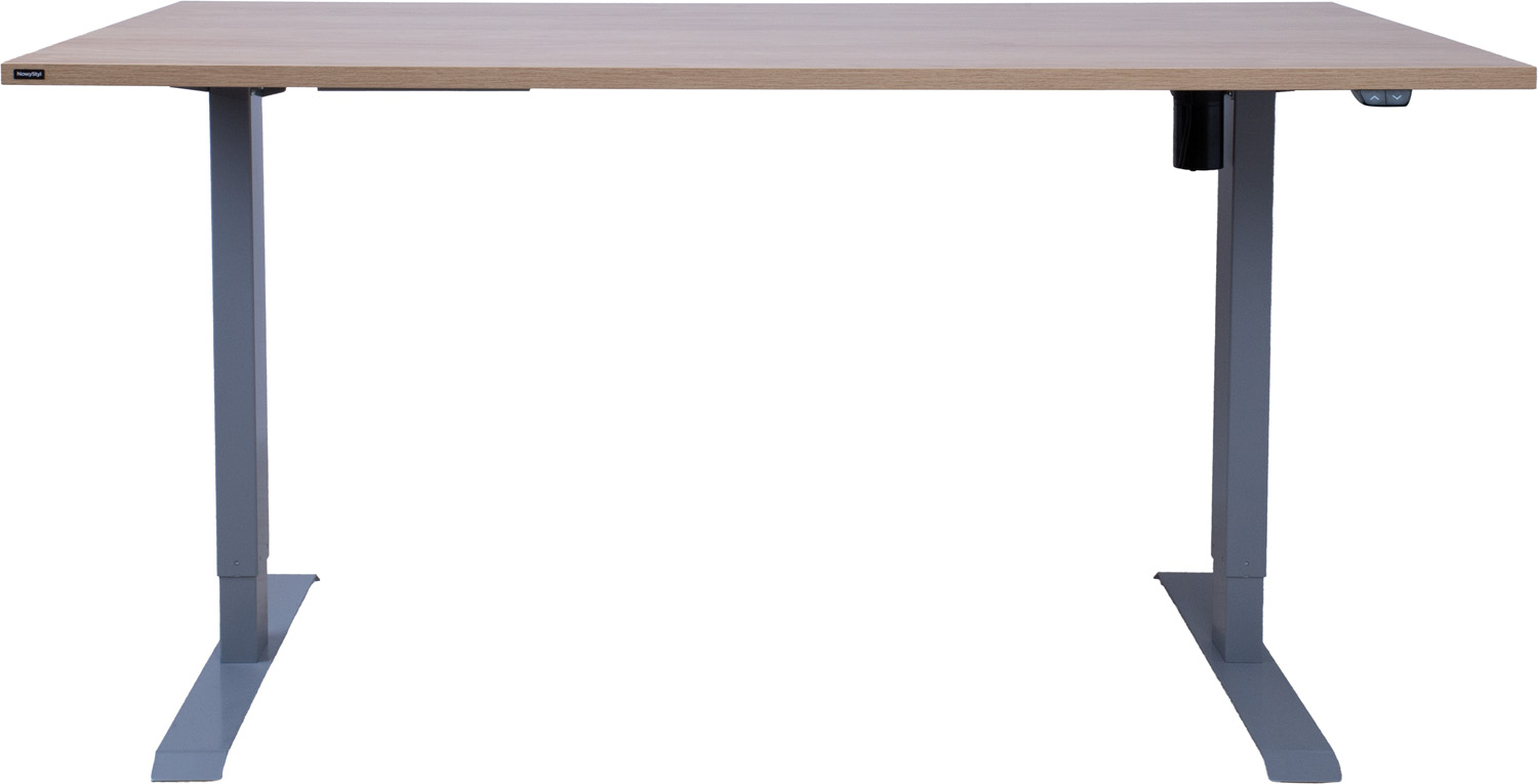 Reguliuojamo aukščio stalas su 1 elektriniu varikliu, medienos/sidabro pilkos spalvos, 160 × 80 × 71–121 cm