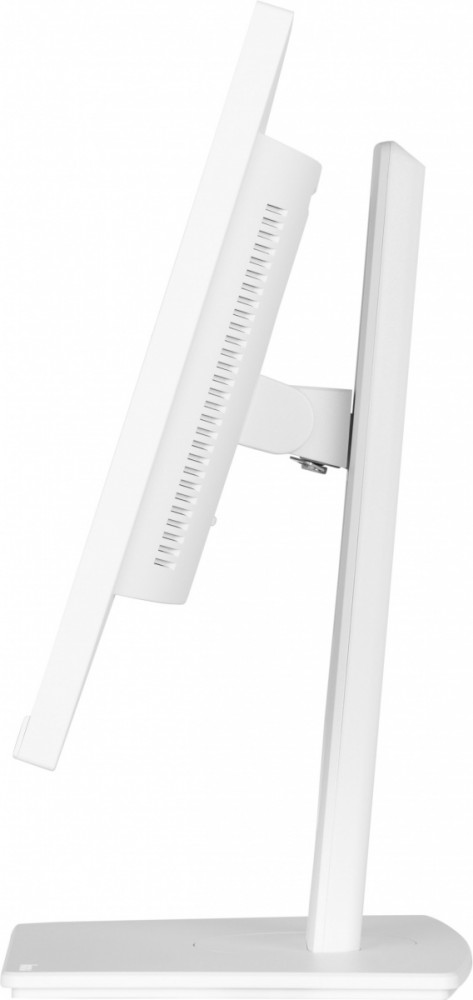 Monitorius iiyama prolite xub2497hsu-w2, 23.8