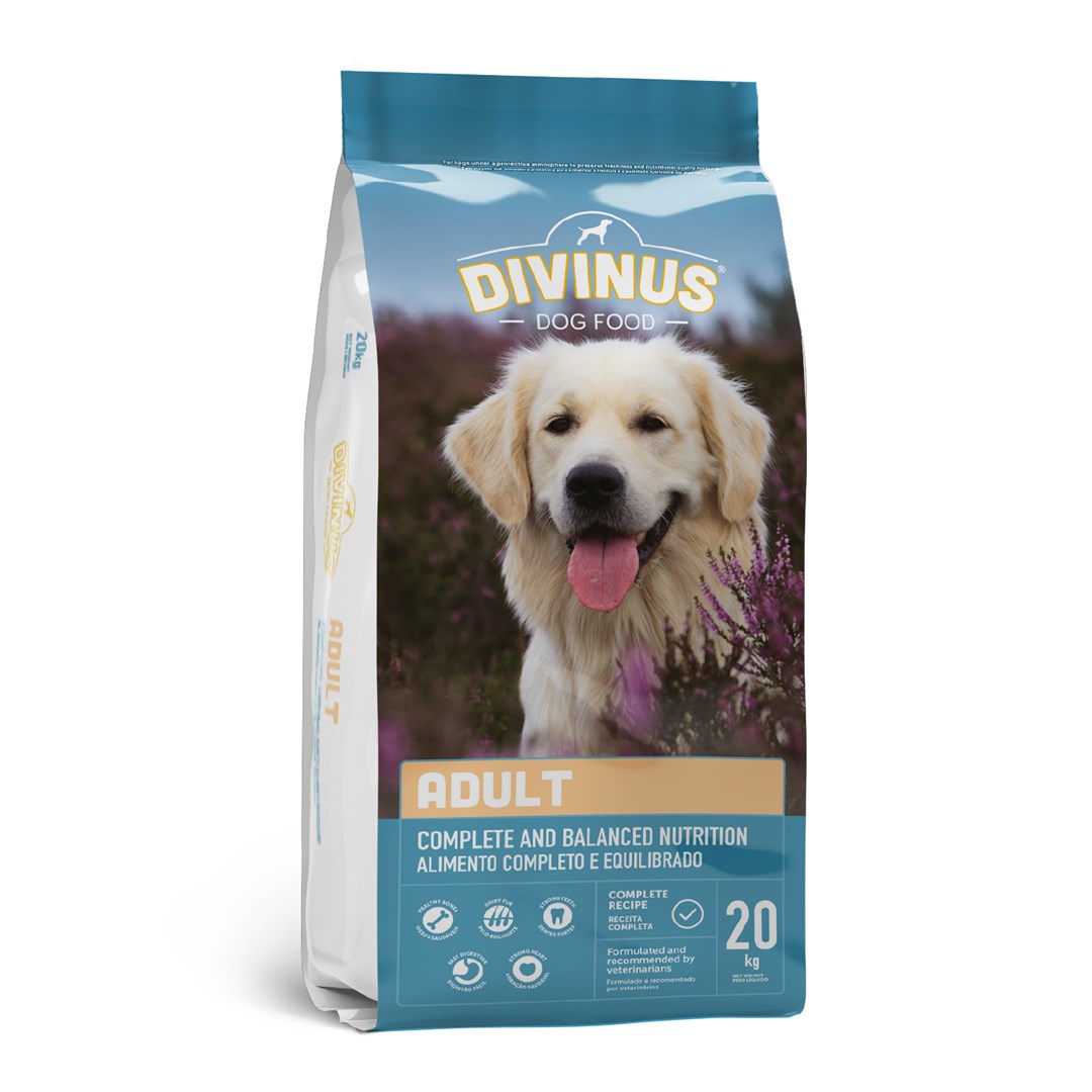 Divinus adult su vištiena, 20 kg