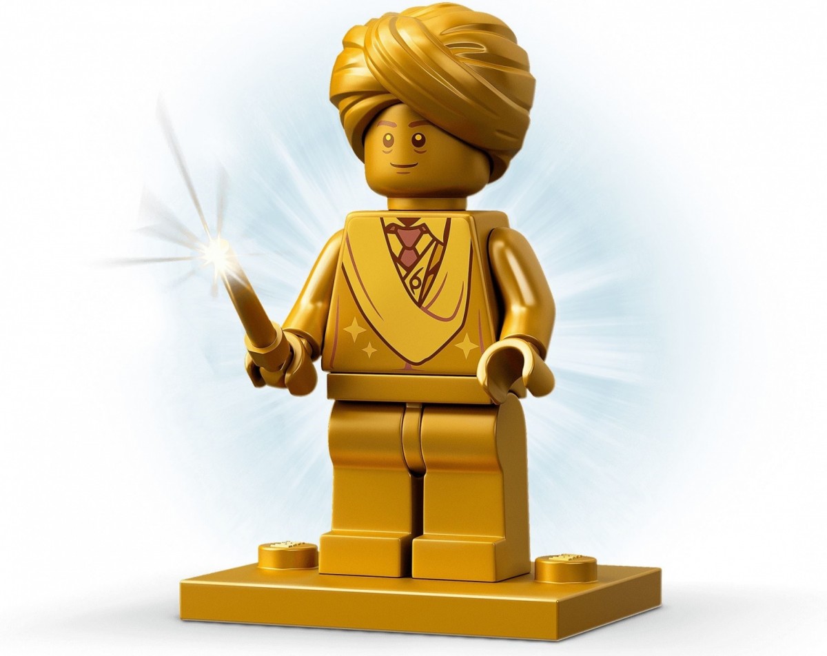 76395 lego® harry potter hogvartse pirmoji skraidymo pamoka, 264 det