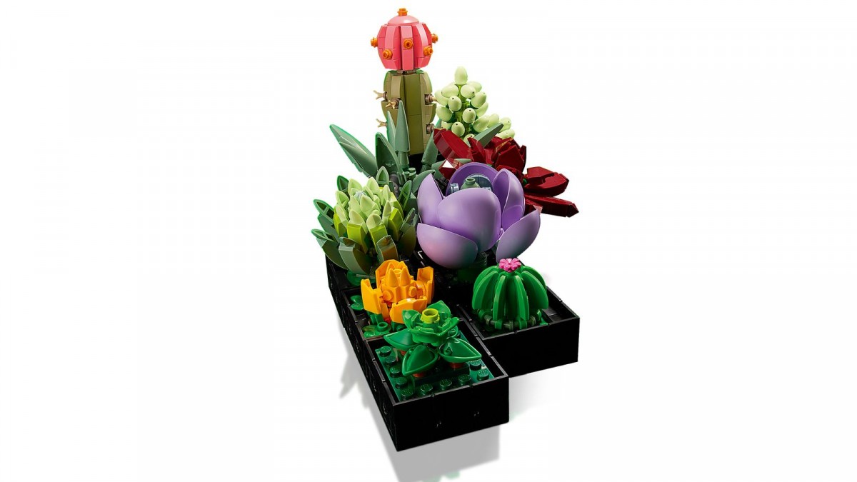 10309 lego® sukulentai