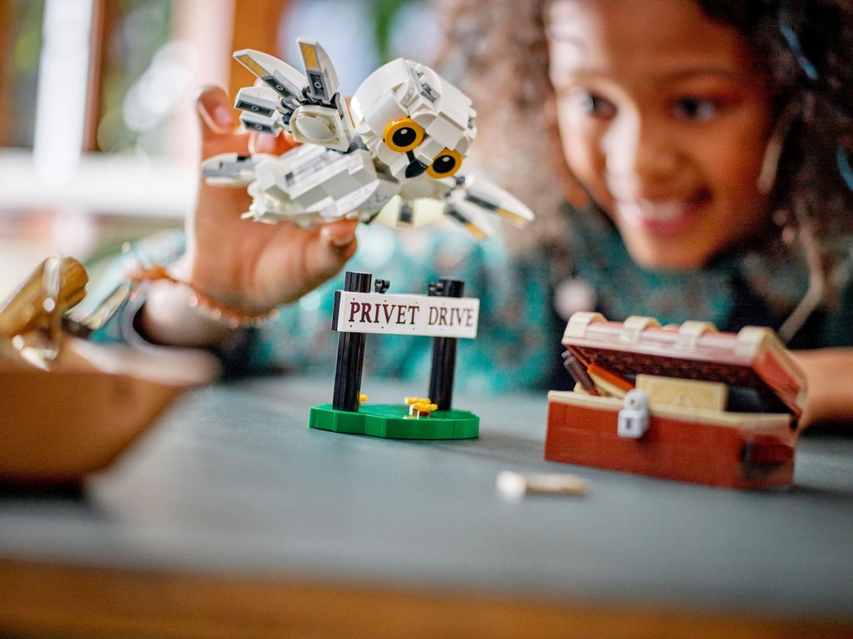 Lego harry potter hedviga privet drive gatvėje