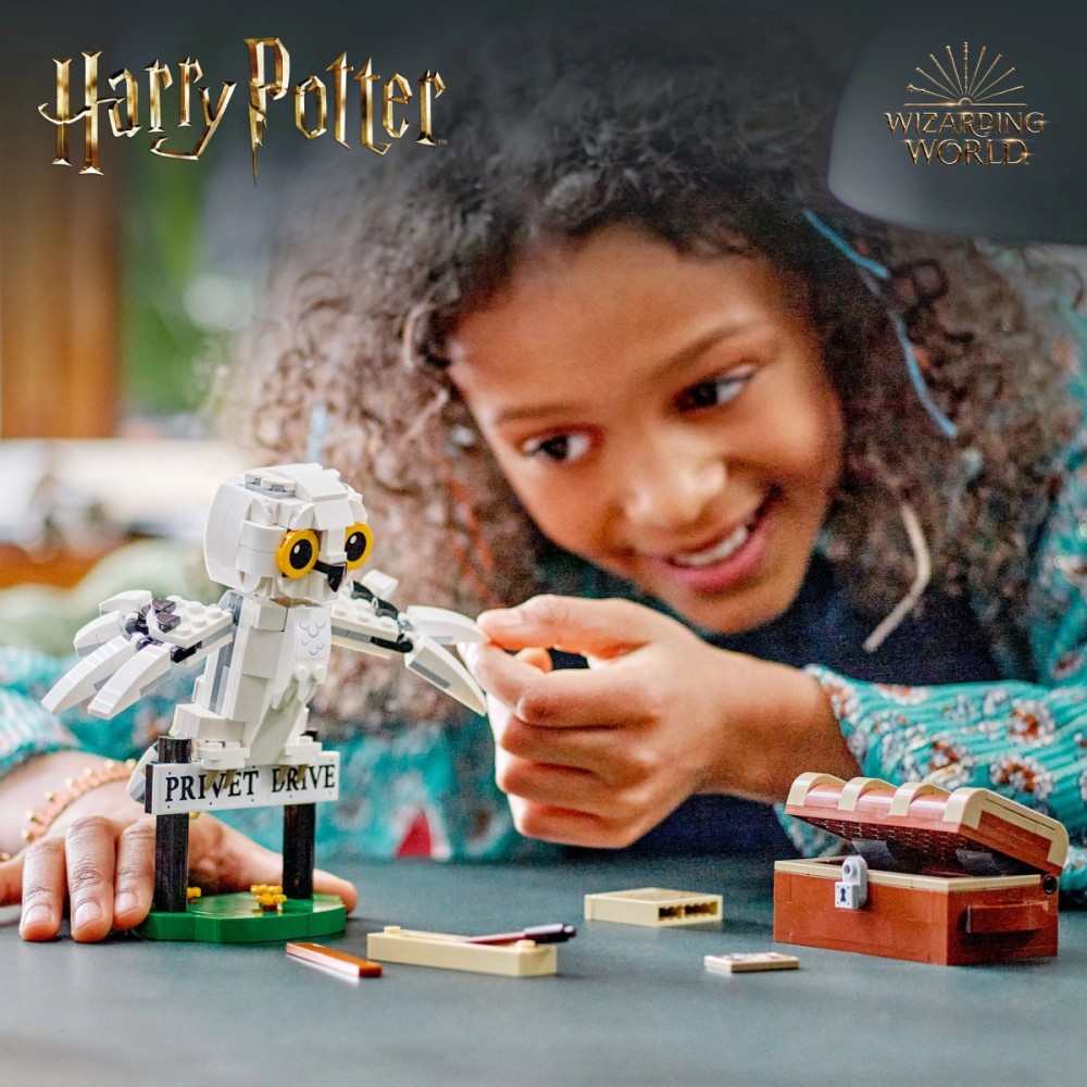 Lego harry potter hedviga privet drive gatvėje