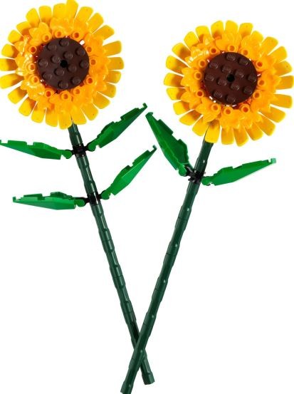 Saulėgrąžos, lego, geltonos