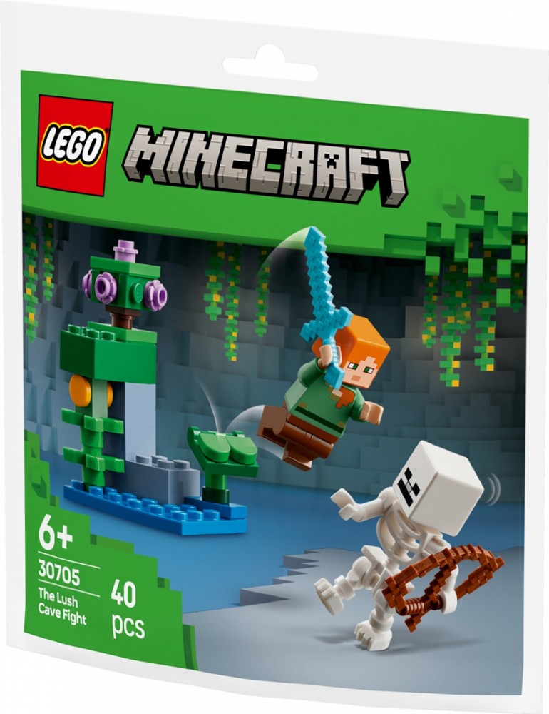 Minecraft konstruktoriai: kova vešlioje oloje