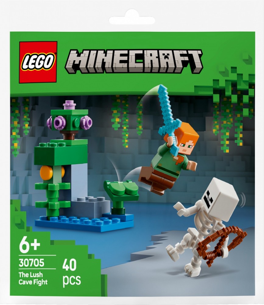 Minecraft konstruktoriai: kova vešlioje oloje