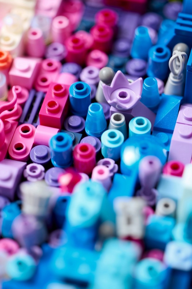 Lego® art paukščių takas