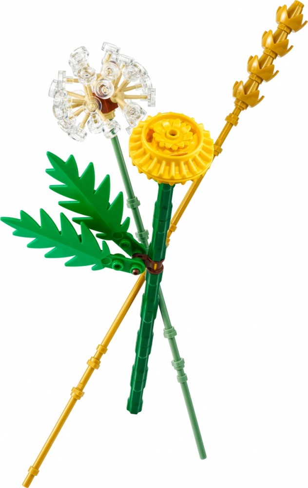 Lego botanicals lauko gėlių rinkinys