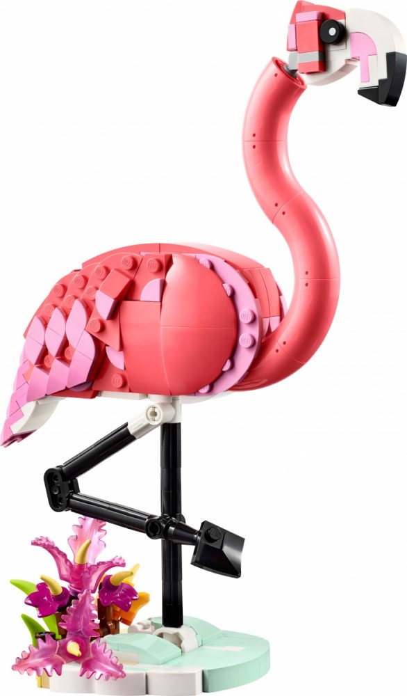 Laukiniai gyvūnai: flamingas, lego® creator