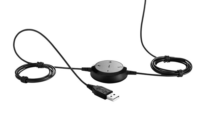 Jabra evolve 20 duo