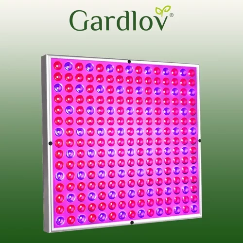 Gardlov sieninis šviestuvas 23525