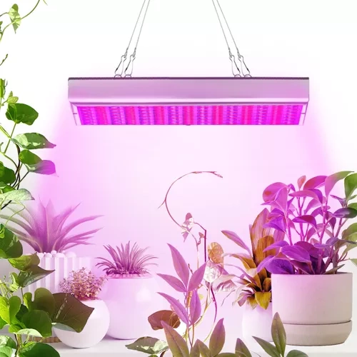 Gardlov sieninis šviestuvas 23525