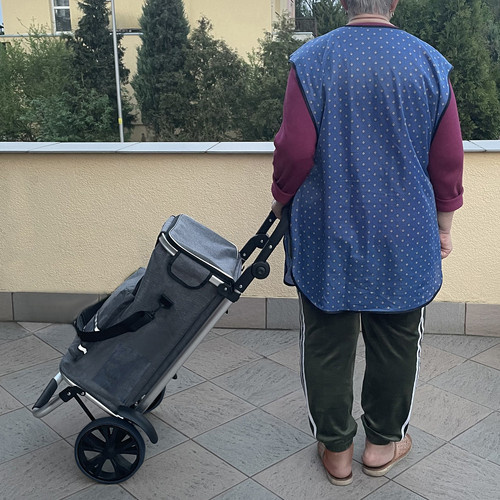 Gardlov 23187 sulankstomas transportavimo vežimėlis