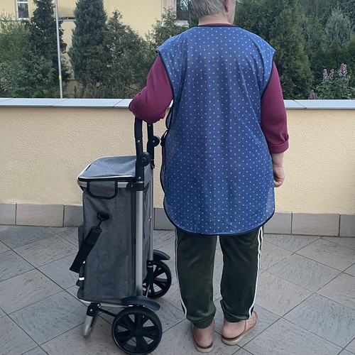Gardlov 23187 sulankstomas transportavimo vežimėlis