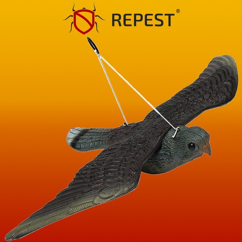 Realistinis sakalo paukščių repelentas 51x34x8 cm