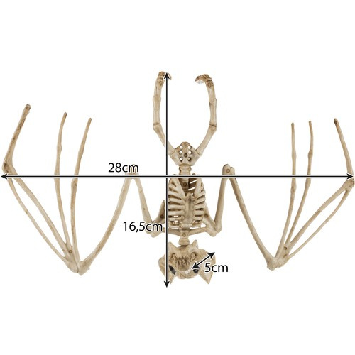 Helovyno dekoracija - šikšnosparnio skeletas 28 cm 2