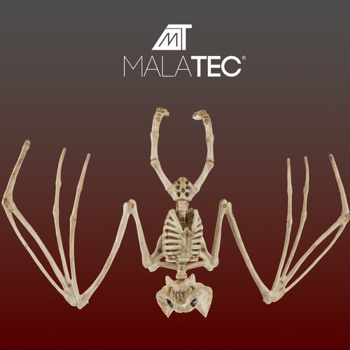 Helovyno dekoracija - šikšnosparnio skeletas 28 cm 1