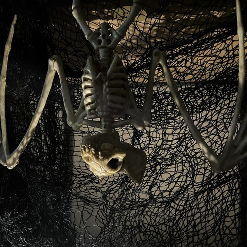 Helovyno dekoracija - šikšnosparnio skeletas 28 cm