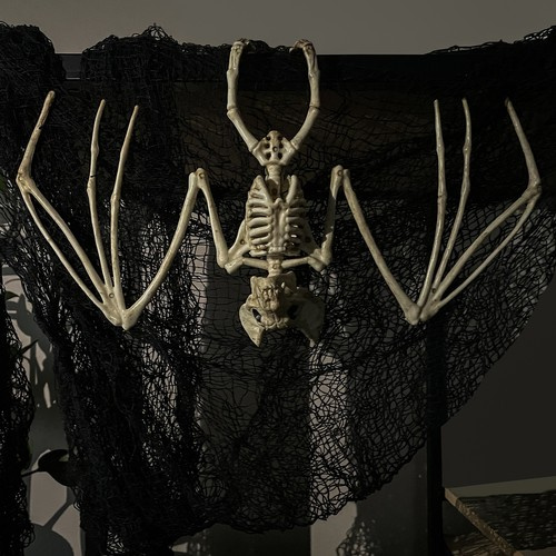 Helovyno dekoracija - šikšnosparnio skeletas 28 cm