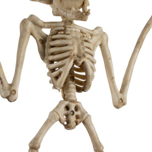 Helovyno dekoracija - šikšnosparnio skeletas 28 cm