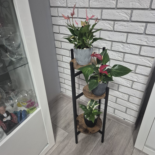 Stovintis gėlių stovas 80cm ruhhy 25627