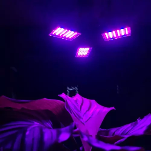 Lempa augalams Lempa 108 LED augalų apšvietimui Gardlov 20440
