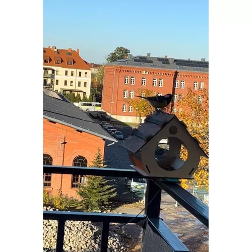Namelis paukščiams Maaleo