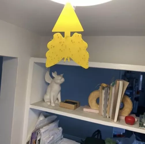 Vabzdžių gaudymo lazdelės, 12 vnt.