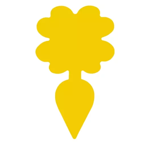 Vabzdžių gaudymo lazdelės, 12 vnt.