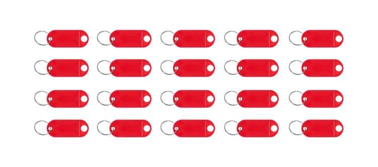 Raktų pakabuko/rakto id rinkinys 100 vnt