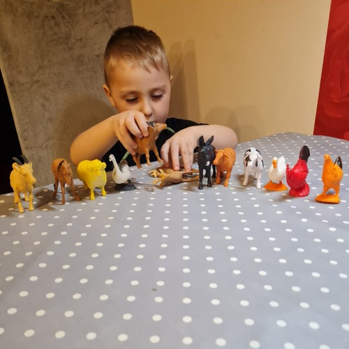 Ūkio gyvūnų figūrėlių rinkinys vaikams kruzzel, 12 vnt