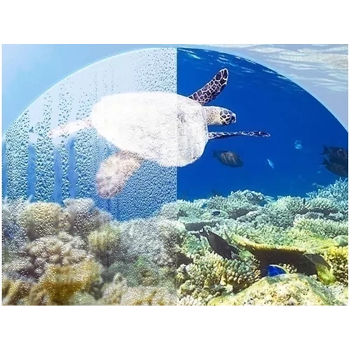 Snorkeling veido kaukė (nardymo kaukė) l/xl juoda